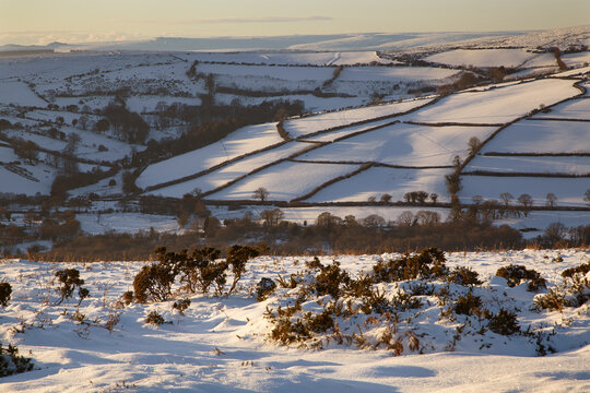 A wintery view of Hameldown, near Widecombe-in-the-Moor, Dartmoor National Park; Devon, England