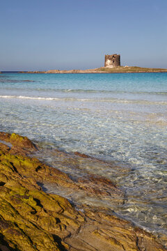 A view at Pelosa Beach, on the northern tip of Sardinia, Italy.; Pelosa Beach, Stintino, Sardinia, Italy.