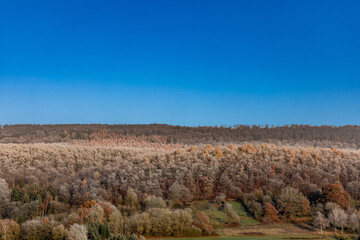 Fototapeta na wymiar Winter forest, trees covered with frost against the background of the blue sky