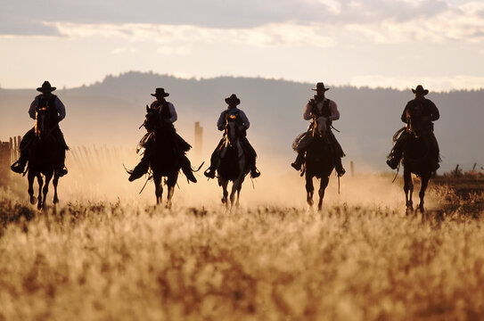 Five cowboys riding horses in a row; Seneca, Oregon, United States of America