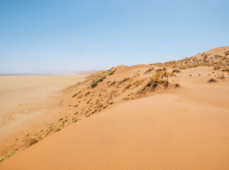View from Elim Dunes, Namib Naukluft park, Namibia