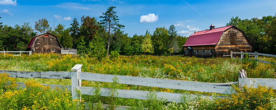 Old rustic barn and broken rail fence with overgrown field; Laurentides, Quebec, Canada