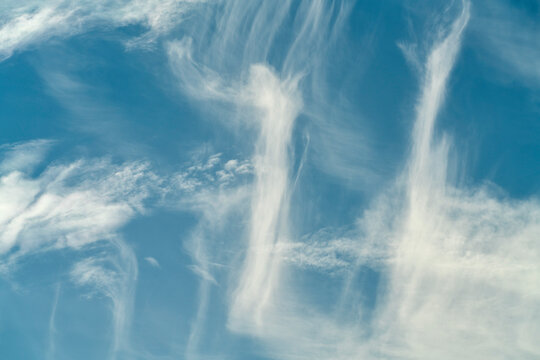 Cirrus clouds in a blue sky; South Shields, Tyne and Wear, England