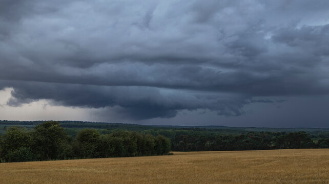A large thunderstorm, possible supercell, grazes the treetops of the Cambridgeshire countryside; Thetford, Cambridgeshire, England