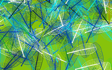 Light Blue, Green vector abstract backdrop with leaves.