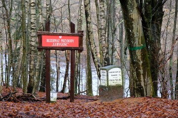 Mirachowo, Poland - circa October 2021: Nature Reserve 