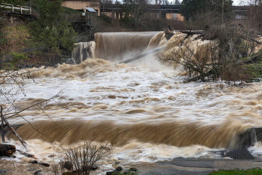 Flooding waters at the Tumwater Falls of the Deschutes River; Olympia, Washington, United States of America