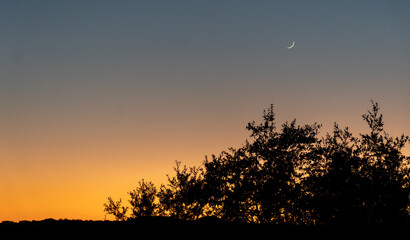 sunset in the field