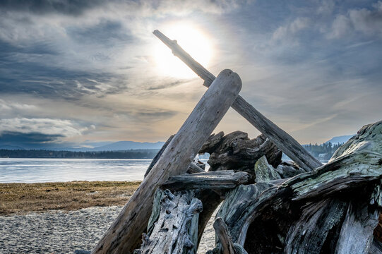 Driftwood piled on the beach in Rathtrevor Beach Provincial Park on Vancouver Island; British Columbia, Canada
