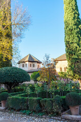 Walking in green gardens of Alhambra in Granada, Spain on November 26, 2022