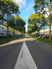 road in the park