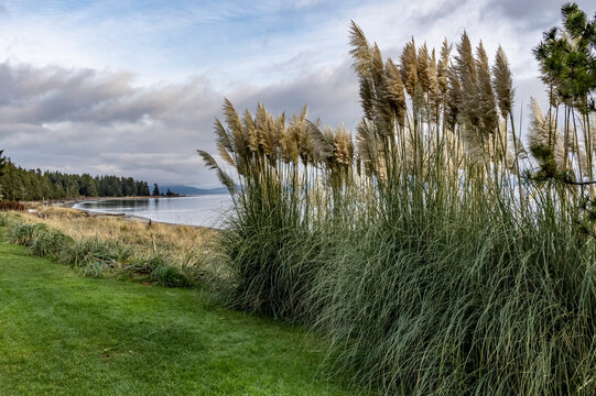 Rathtrevor Beach Provincial Park on Vancouver Island; British Columbia, Canada
