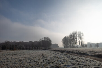 Moody white and foggy tone, morning and view of meadow and agricultural field covers with frost and snow in countryside in D&uuml;sseldorf, Meerbusch Germany in winter season.