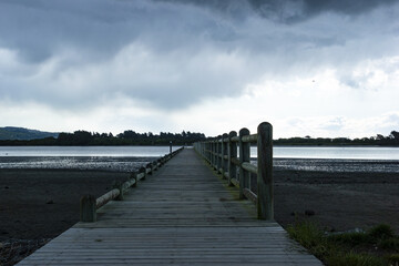 Naklejka premium new zealand