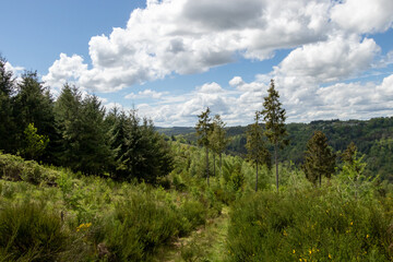Southern Creuse on a sunny, spring day.