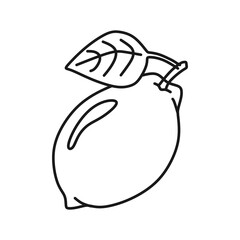 Lemon outline icon, fruit vector illustration in trendy design style, isolated on white background. The best editable graphic resources for many purposes. Suitable for website, logo, and ui.