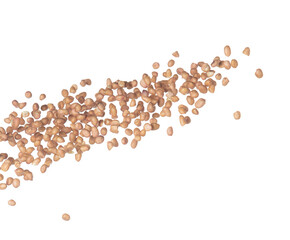 Peanut flying explosion, brown grain peanuts explode abstract cloud fly. Beautiful complete seed pea peanut splash in air, food object design. Selective focus freeze shot white background isolated