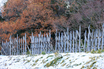 Sharpened wooden stakes at Sekigahara, site of Japan's biggest samurai battle