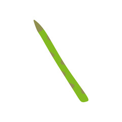 vector illustration, fresh asparagus, flat cartoon design style. editable graphic resources for many purposes.
