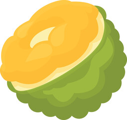 Jackfruit food icon cartoon vector. Summer nature. Tropical food
