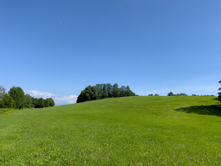 Summer hills and sky with meadows