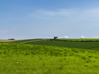 Summer hills and sky with expansive fields