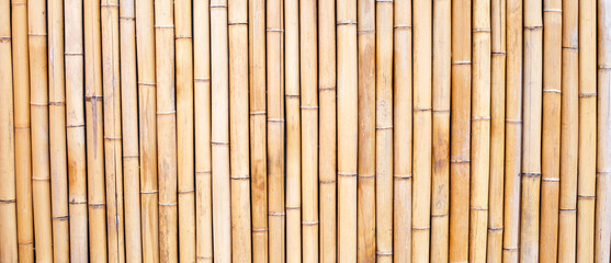 Yellow bamboo texture. Dried bamboo wall or fence background © Bowonpat