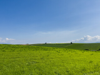 Summer hills and sky with expansive fields