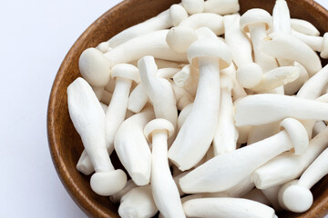 White beech mushrooms, Shimeji mushroom, Edible mushroom on white background.