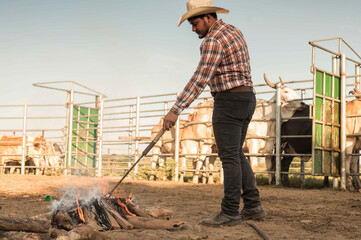 Cowboys with a campfire to heat a traditional branding iron heated on a fire to brand the animal,...