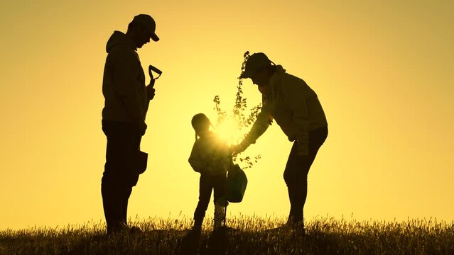 Silhouette of family with tree at sunset, Happy family team planting tree in sun spring time. Family with shovel and watering can plants young trees sprout in soil. Farmer dad, mom child planting tree