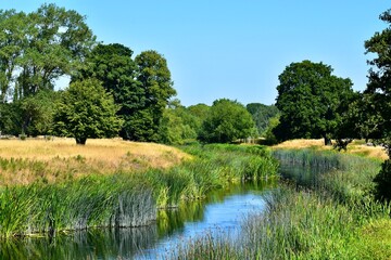 Stream in the park fields in the summer, West Midlands, England, UK
