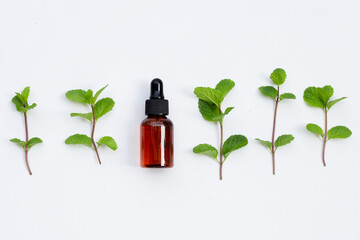 Fresh mint leaves with essential oil