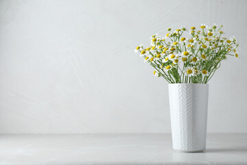Vase with beautiful chamomile flowers on light grey table. Space for text
