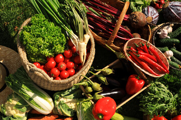 Different fresh ripe vegetables outdoors on sunny day, above view