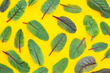 Obraz premium Swiss chard on yellow background. Baby leaf swiss chard