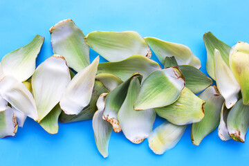 Fototapeta na wymiar Fresh artichoke petals on blue background