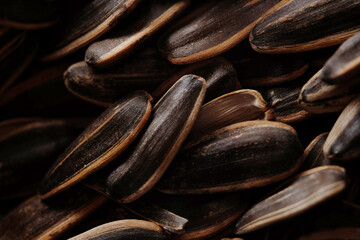 Sunflower seeds are technically the fruits of the sunflower plant Helianthus annuus