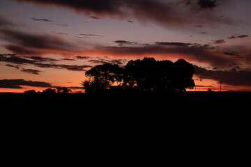 Silueta de unos árboles y casa sobre un hermoso atardecer 