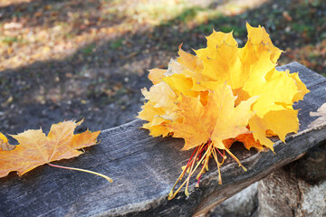 Naklejka na ściany i meble Beautiful dry leaves on wooden bench outdoors, space for text. Autumn season