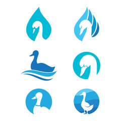 Obraz premium Duck logo vector