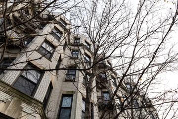 Bare tree branches before a light brick apartment building and gray sky, bleak urban landscape, horizontal aspect