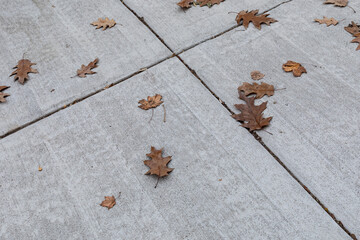 Gray concrete sidewalk with diagonal joints and brown fall leaves, creative copy space background, horizontal aspect
