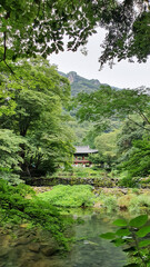 한국, 전통, 기와, Korea, Traditional, and Tile