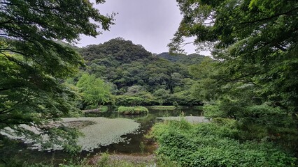풍경, 한국, 정원, Landscape, Korea, Garden