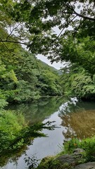 풍경, 한국, 정원, Landscape, Korea, Garden