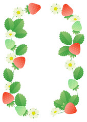 Vector illustration of the strawberry frame.