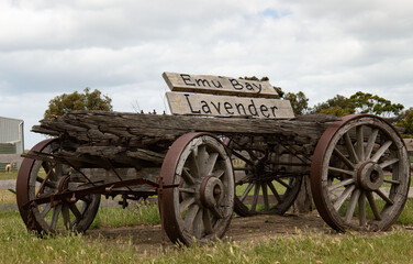 Fototapeta na wymiar Old wooden, four-wheeled cart with rusted metal wheels. A sign on top reads 'Emu Bay Lavender'.
