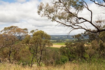 View of McLaren Vale wine region in South Australia with vineyards, meadows and cloudy sky