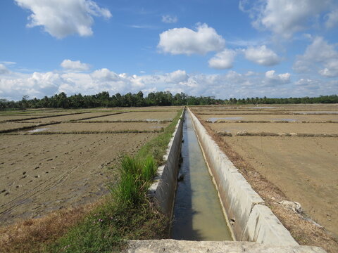 River on paddy field in sunny day, Kendari Indonesia